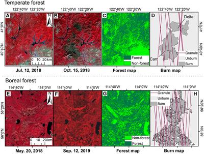 Effects of Spatial Resolution on Burned Forest Classification With ICESat-2 Photon Counting Data